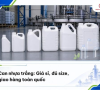 Can nhựa trắng giá sỉ, đủ size, giao hàng toàn quốc